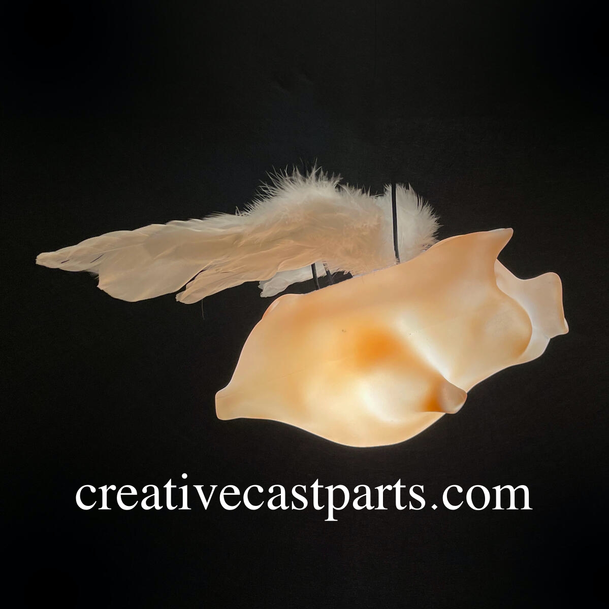 Promotional marketing pieces for trade-show booths, retailers, museums and more.